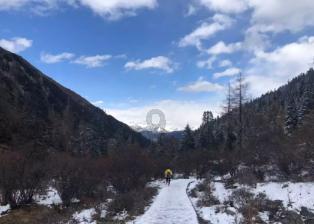 空难后，为什么很难找到遗体？游戏画面