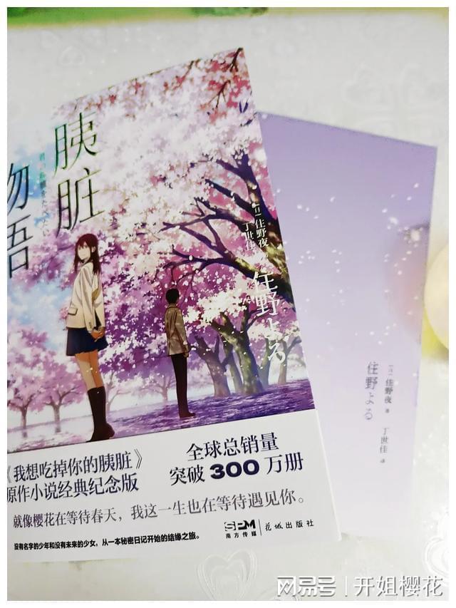 拯救可爱小公主