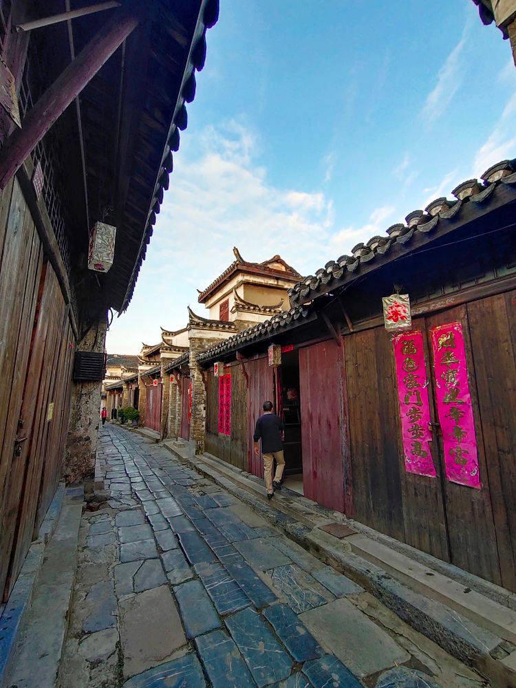 生化危机：浣熊市行动